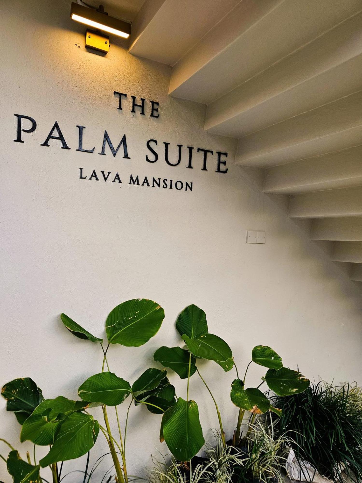 The Palm Suite At Lava Mansion Джорджтаун Экстерьер фото